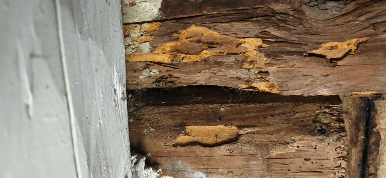 Toiture rénovée par Toit des Dômes à Clermont-Ferrand (48) — vue d'ensemble