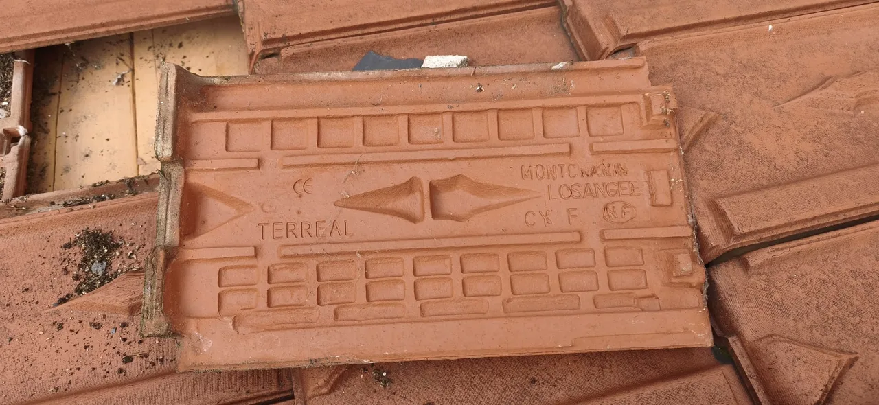 Réparation de toiture en cours par Toit des Dômes (10) — vue d'ensemble