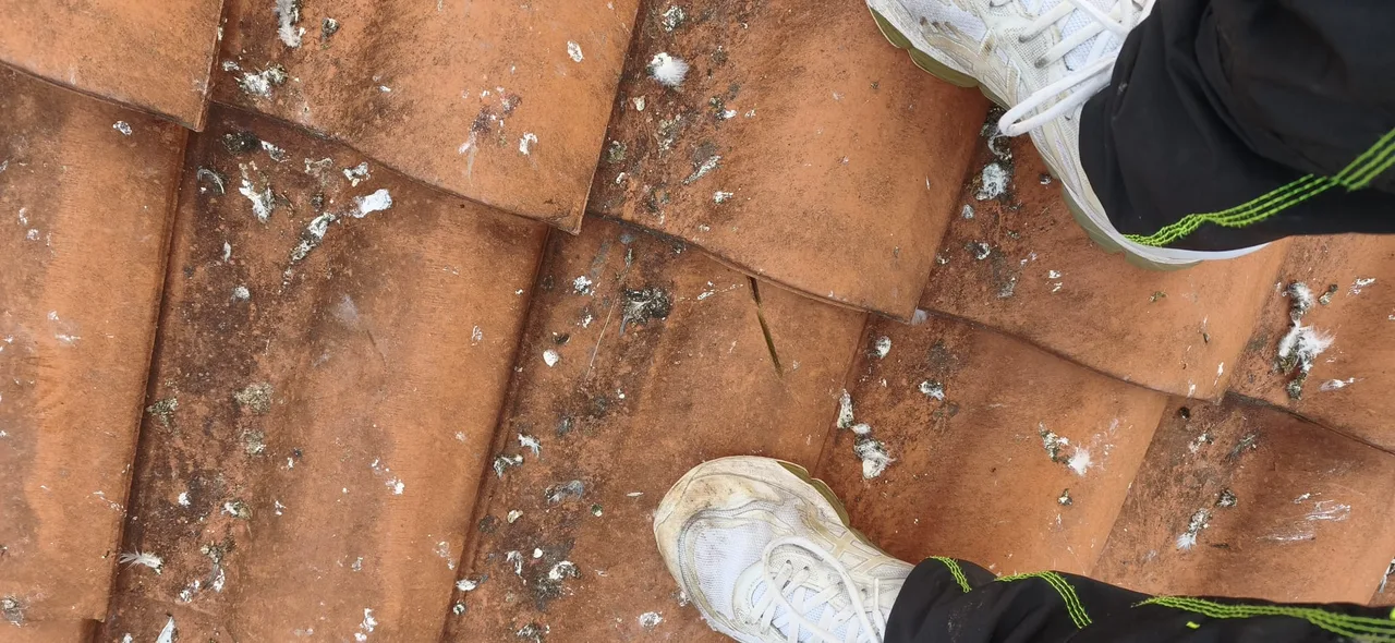 Nettoyage de toiture par Toit des Dômes (3) — vue d'ensemble