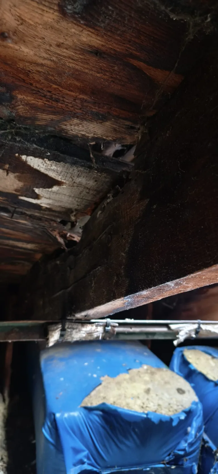 Travaux d'isolation de toiture par Toit des Dômes (1) — vue rapprochée