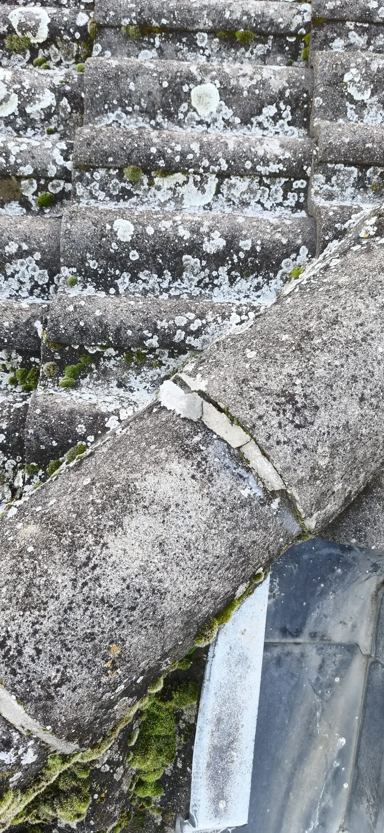 Nettoyage de toiture par Toit des Dômes (5) — vue rapprochée