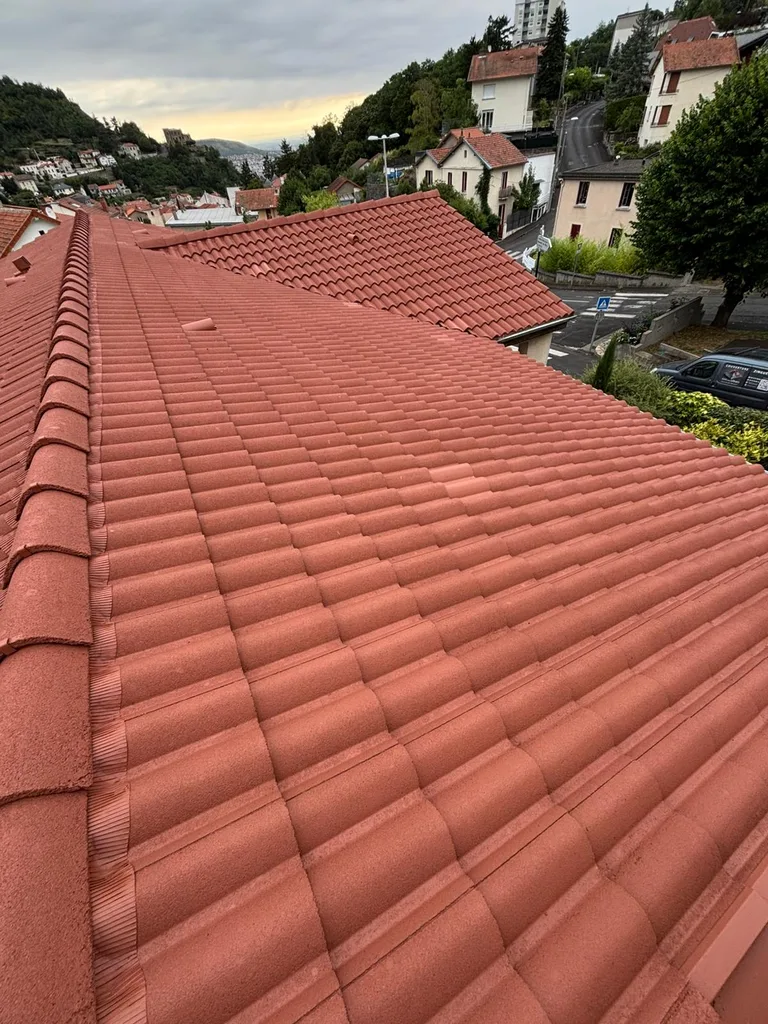Toiture rénovée par Toit des Dômes à Clermont-Ferrand (105) — vue rapprochée