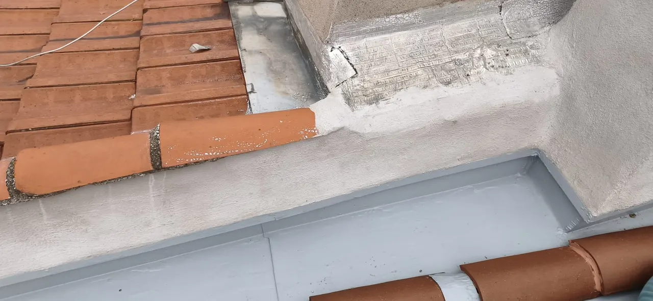 Toiture rénovée par Toit des Dômes à Clermont-Ferrand (49) — vue d'ensemble